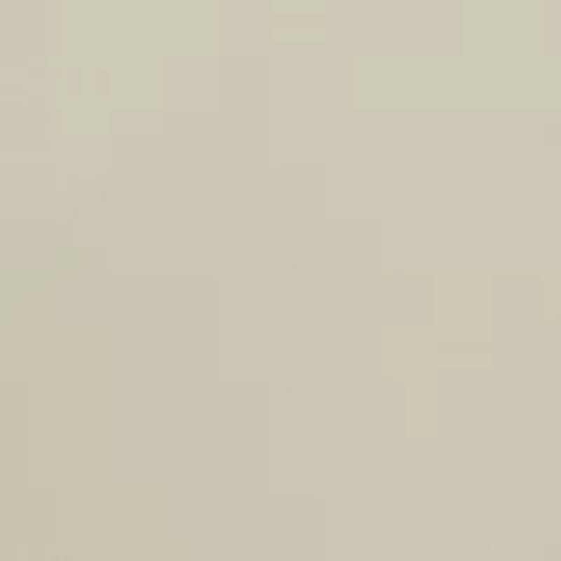 Plus Millennium Pants - Average