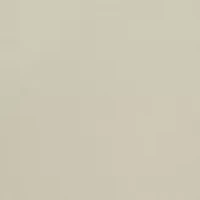 Plus Millennium Pants - Average