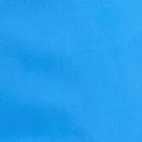 Petite Millennium Capri Pants