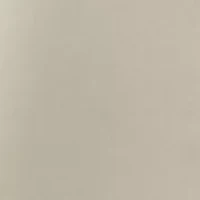 Petite Millennium Capri Pants