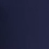 Petite Millennium Capri Pants