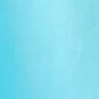 Petite Pull On Linen Cropped Pants