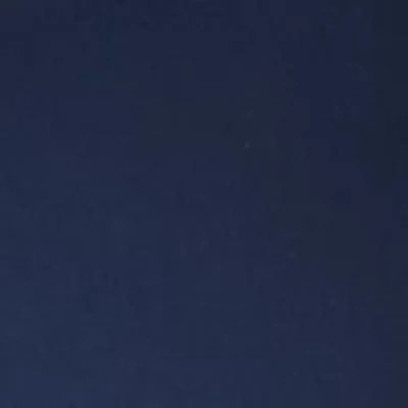 Plus Cotton Blend Capri Pants