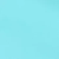 Women's Millennium Skort