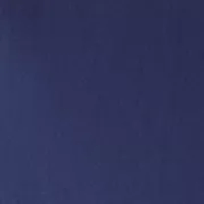 Women's Millenium Skort