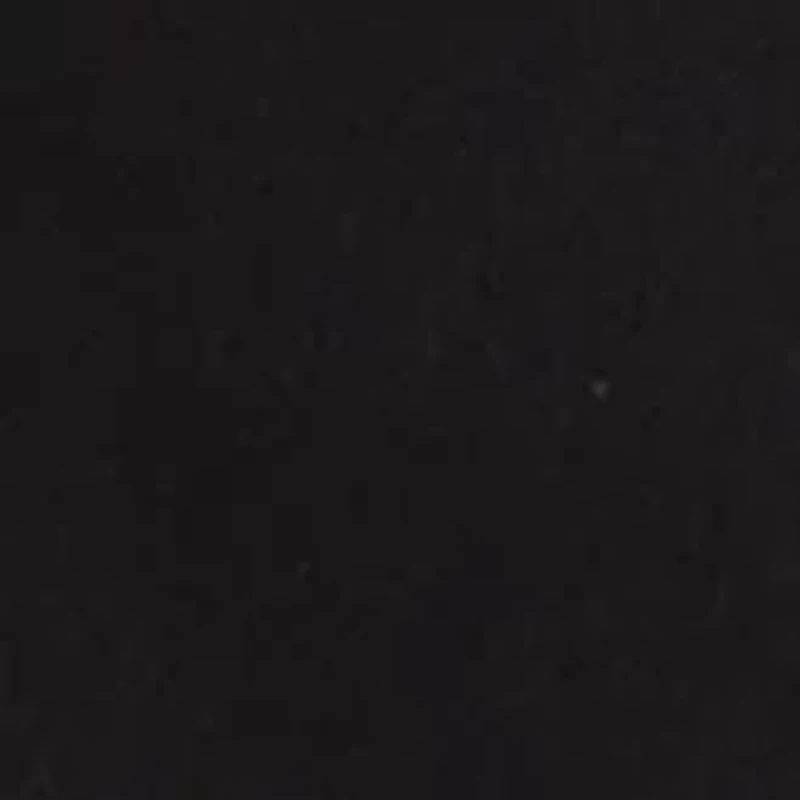 Petite Millennium Skort