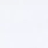 Petite Millennium Skort