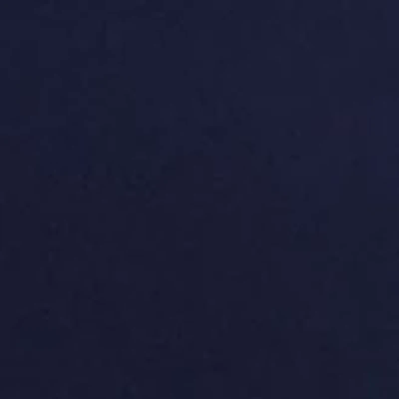 Petite Millennium Skort