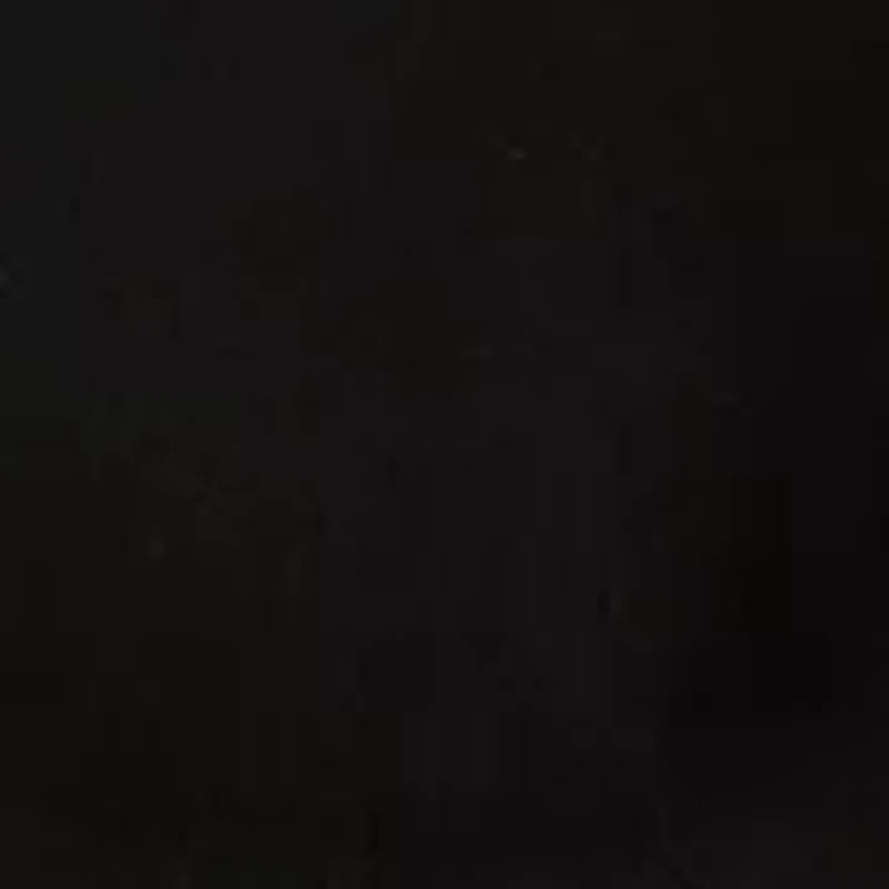 Petite Millennium Skort