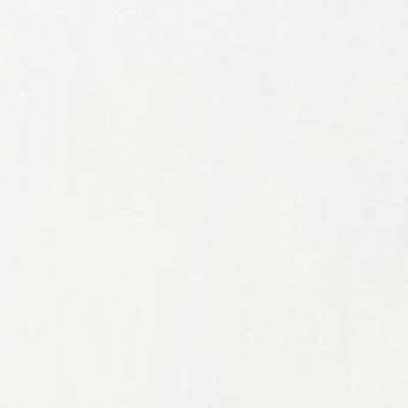 Petite Millennium Skort