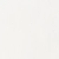 Petite Millennium Skort