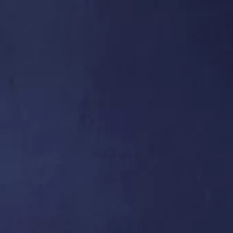 Petite Millennium Skort