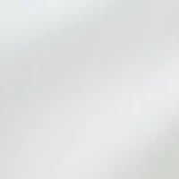 Petite Millennium Skorts