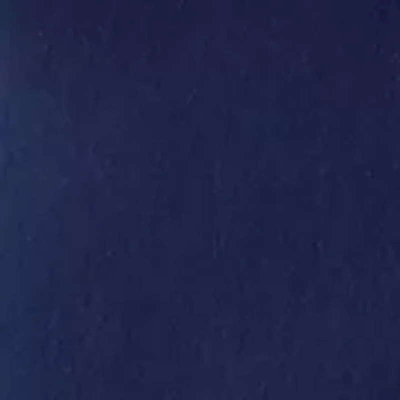 Petite Millennium Skorts