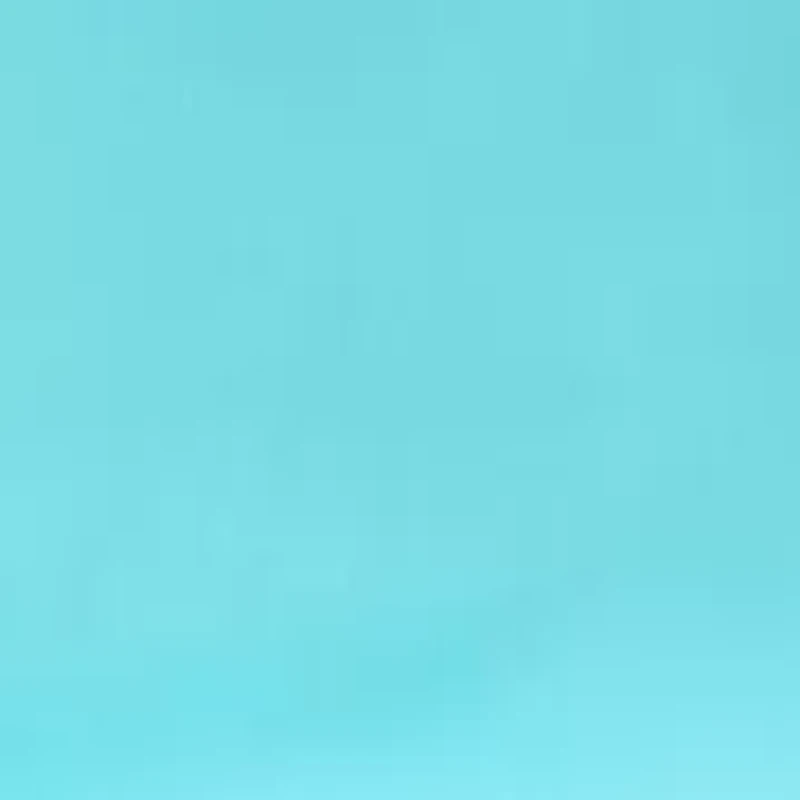 Plus Millennium Skirt