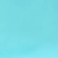 Plus Millennium Skirt