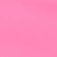 Plus Millennium Skirt