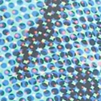 Plus Allover Print Performance Leggings