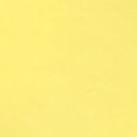 Maternity Kayla Tunic