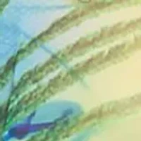 Maternity Short Caftan with Tie-up Neckline