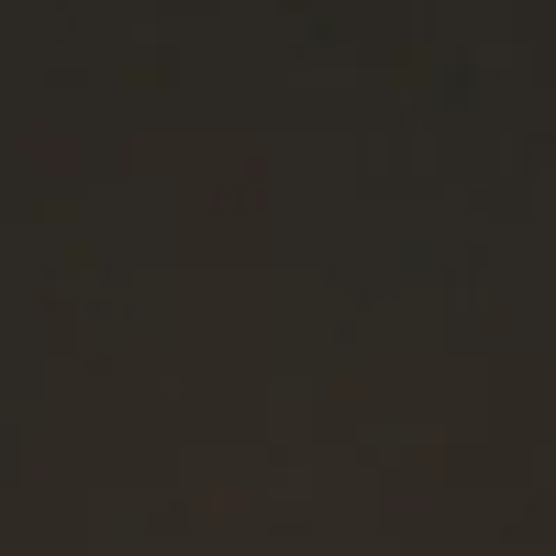 Women's Maternity Sofia Tunic Top