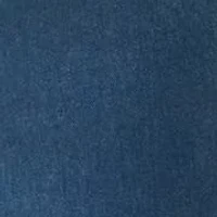 Bobbi Baggy Big-T Carpenter Pants