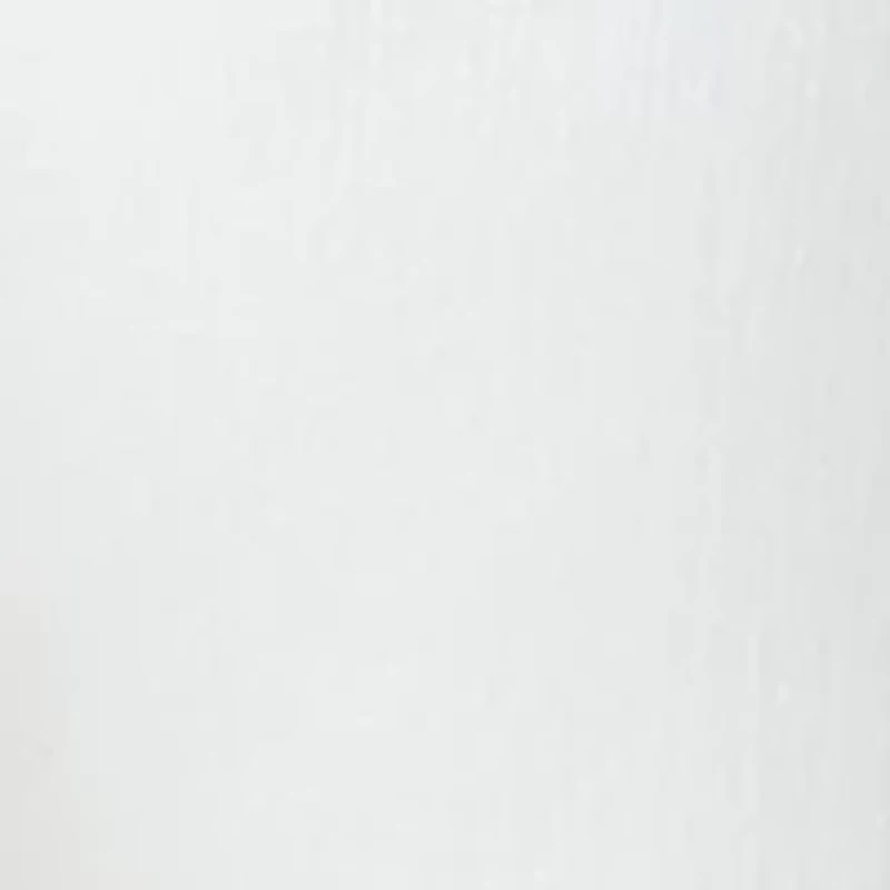 Petite Denim Bermuda Shorts