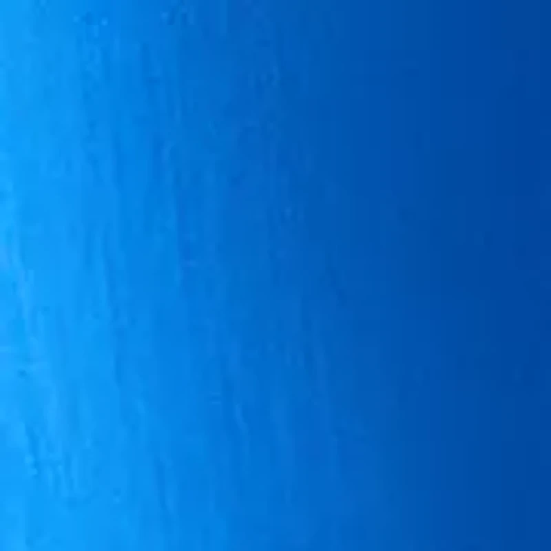 Petite Pull On Straight Leg Pants Denim Jeans