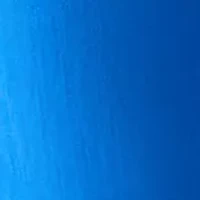 Petite Pull On Straight Leg Pants Denim Jeans