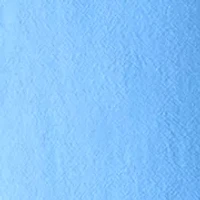 Petite Sheeting Cropped Pants