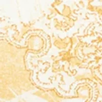 Plus Banded Bottom Short dolman Sleeve Crepe Top