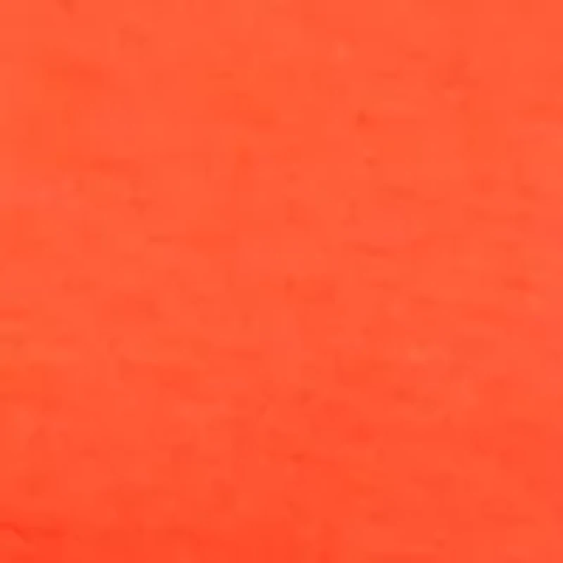 Petite Shirred Shoulder V-Neck Top