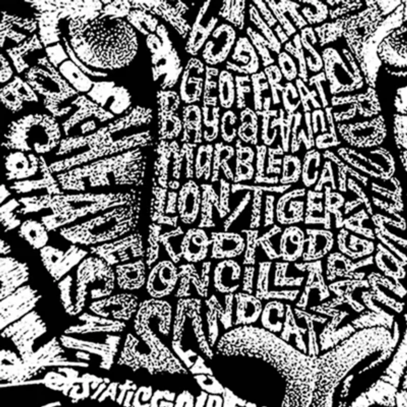 Women's Plus Word Art T-shirt - Big Cats