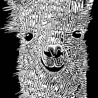 Women's Plus Word Art Tank Top - Llama