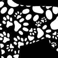 Women's Plus Word Art T-shirt - Dog Paw Prints