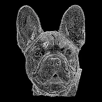 Women's Plus Word Art Tank Top - French Bulldog