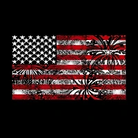 Women's Plus Word Art T-shirt - Fireworks American Flag