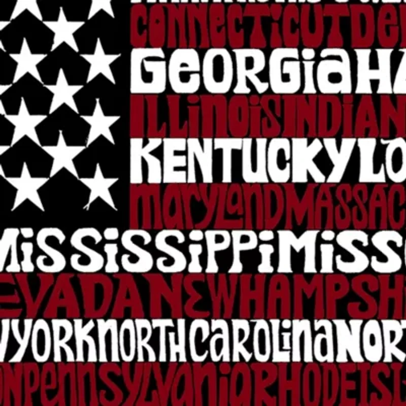 Women's Plus Word Art V-Neck - 50 States USA Flag