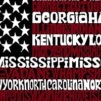 Women's Plus Word Art V-Neck - 50 States USA Flag