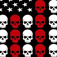 Skull Flag - Women's Premium Blend Word Art T-Shirt