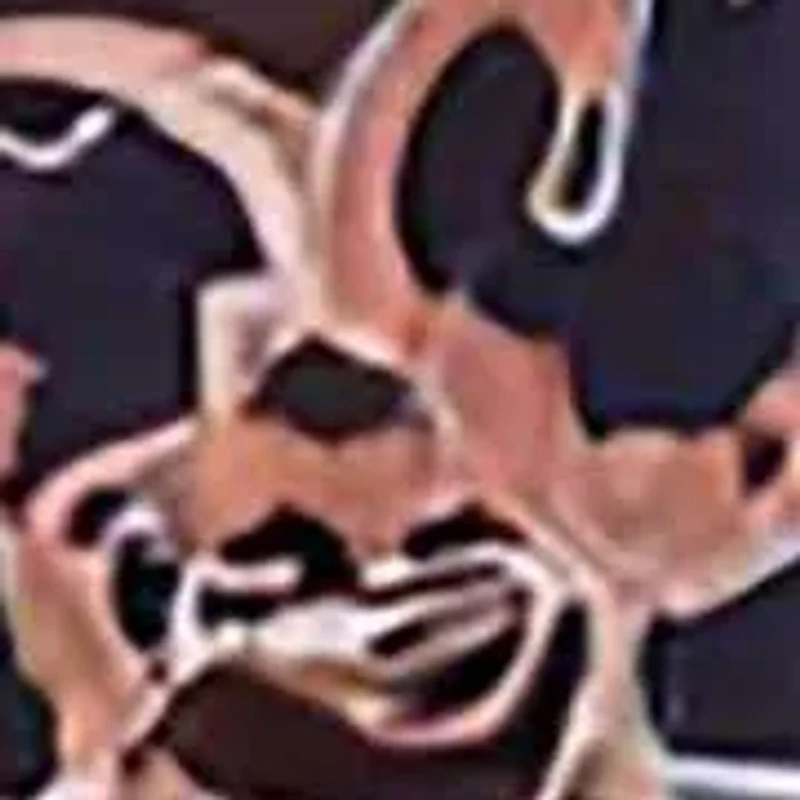 Womens Plus Brown Floral Print Long Sleeve Tunic Top