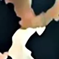 Womens Plus Multiprint Long Sleeve Scoop Neck A Line Top