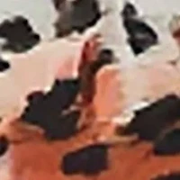 Womens Plus Animal Print Elastic Waist Maxi Skirt