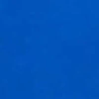 Plus Sleeveless Empire Waist  Maxi Dress