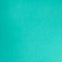 Plus Long Sleeve Fit and Flare Midi Dress