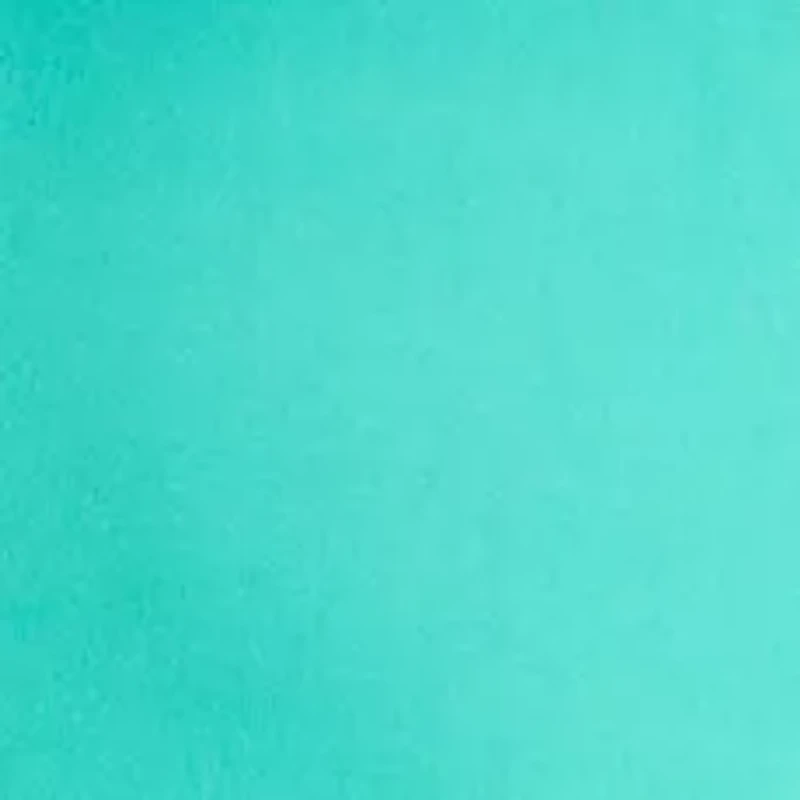 Plus Simple A Line Tank Maxi Dress