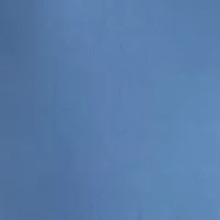 Women's Long Sleeve Fit and Flare Midi Dress