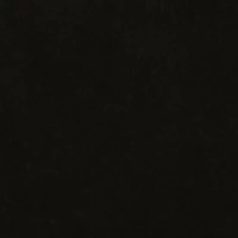 Women's Raw Hem Crew Neck Logo Sweatshirt