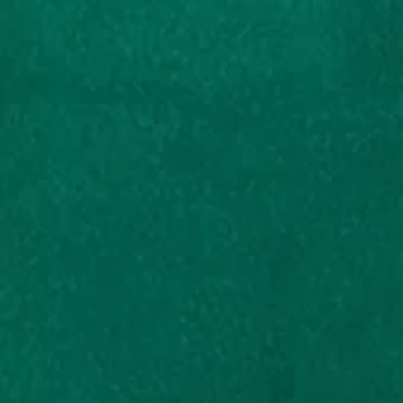 Women's Long Sleeve Velour Notch Tunic Top