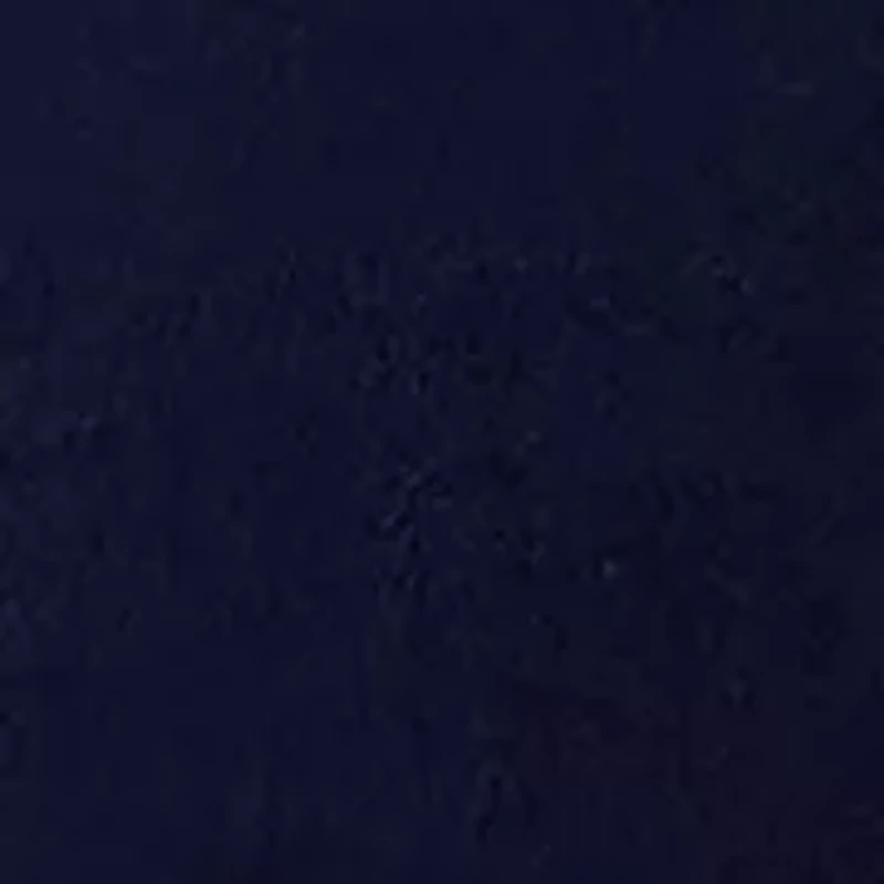 Women's Long Sleeve Velour Notch Tunic Top